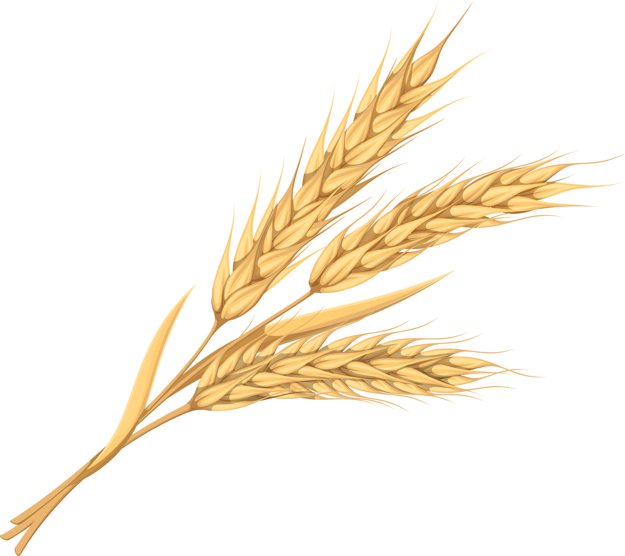 Wheat Ears